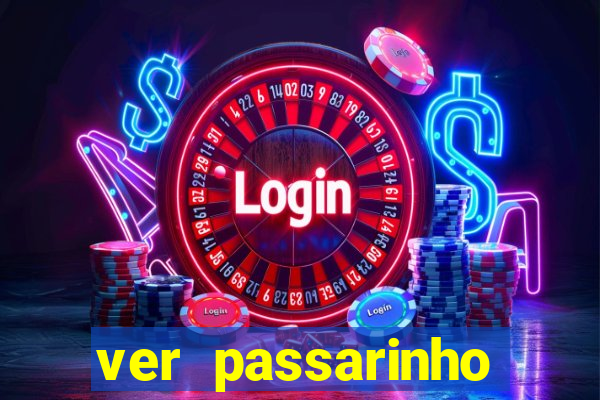 ver passarinho morto significado espiritual